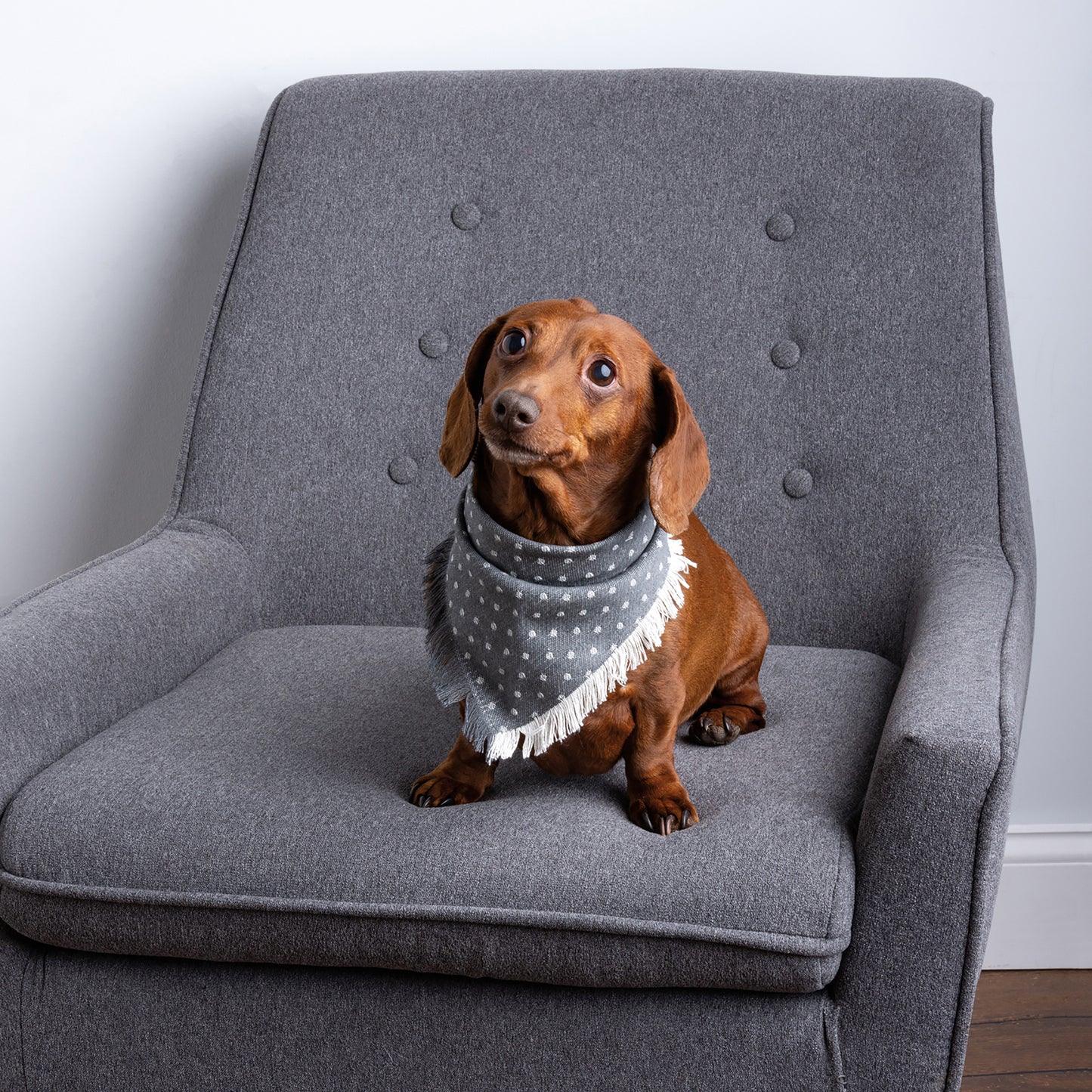 Plaid And Dots Pet Bandana Set